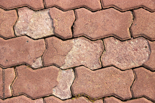 shaped cement paving stones with defects on sidewalk 