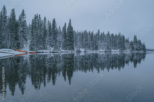 Calm lake with the reflections of the snowy trees visible, on foggy weather during winter