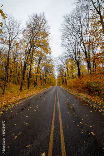 A road through forest with Autumn yellow leaves at Pictured Rock National Lakeshore in Michigan. Fall colors