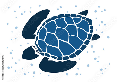 graphic sea turtle,vector illustration of sea turtle,vector of turtle design on a white background,save a turtle.