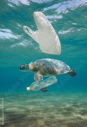 Photography Plastic waste pollution underwater, a sea turtle with plastic bag and bottle in