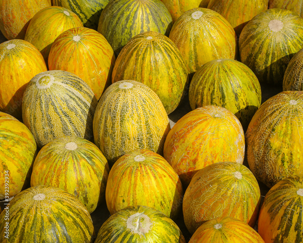 Closeup view of bright yellow and green melons for sale on a market in Tajikistan, Central Asia