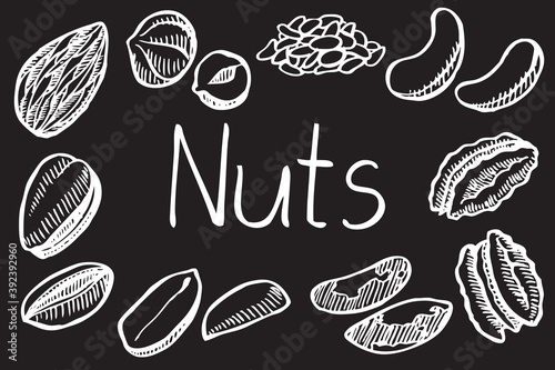 Set of hand drawn nuts. Illustration in sketch style. Vector illustration isolated on black background.