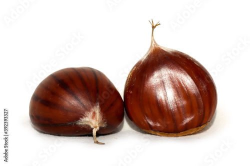 chestnuts chestnut isolated for background