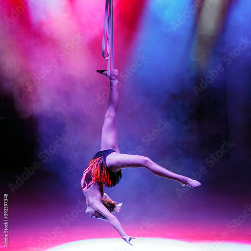 Aerialist perform live in the show.