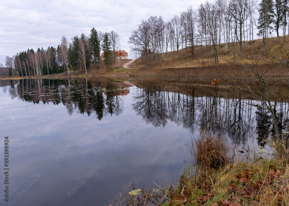 Opposite bank of lake in the autumn, cloudy sky, late autumn, bare tree silhouettes and reflections in the water Opposite bank of lake in the autumn, cloudy sky, late autumn, bare tree silhouettes and reflections in the water