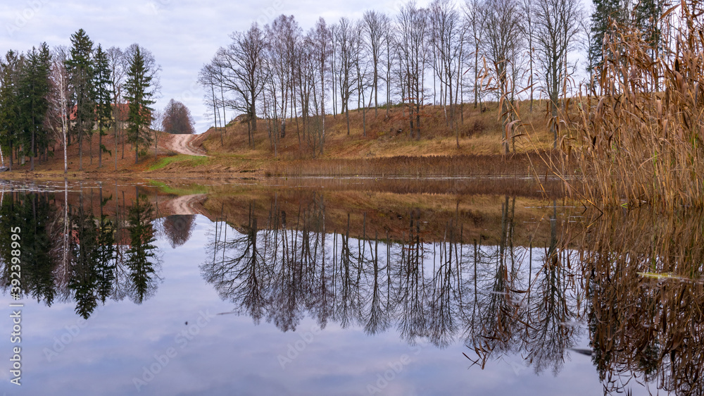 Opposite bank of lake in the autumn, cloudy sky, late autumn, bare tree silhouettes and reflections in the water
