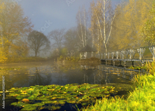 mystical landscape, blurred background colorful tree background in the dark, wooden bridge over the pond, autumn fog, long exposure
