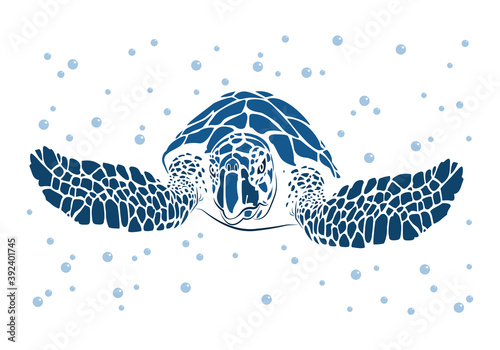 graphic sea turtle,vector illustration of sea turtle,vector of turtle design on a white background,save a turtle.