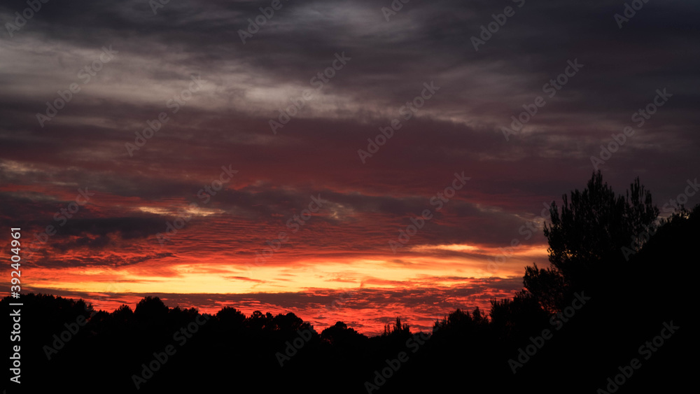 Treeline silhouette against amazing red clouds after sunset sky