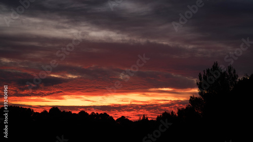 Treeline silhouette against amazing red clouds after sunset sky