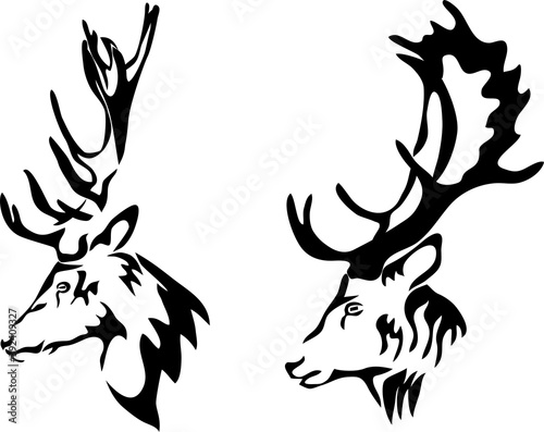 Head of deer - vector illustration photo