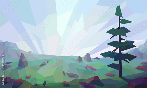 Low poly cloudy landscape. Spruce, rocks, windy, hills. Vector illustration