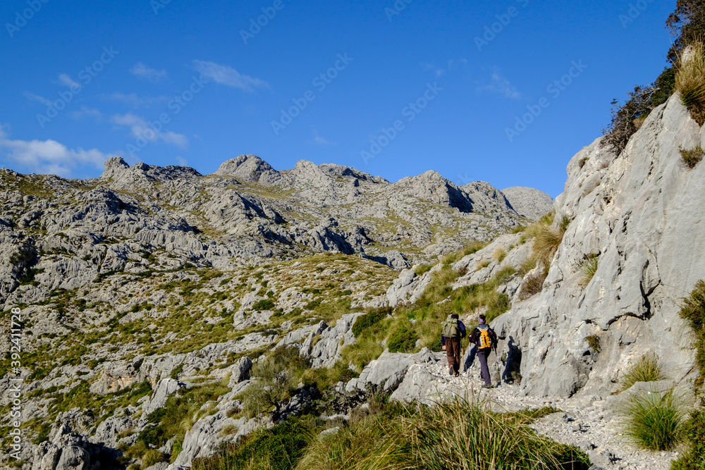 Coll des Asses, finca de Mossa, Puig Roig, 1003 metros, Escorca, sierra de Tramuntana, Mallorca, balearic islands, spain, europe