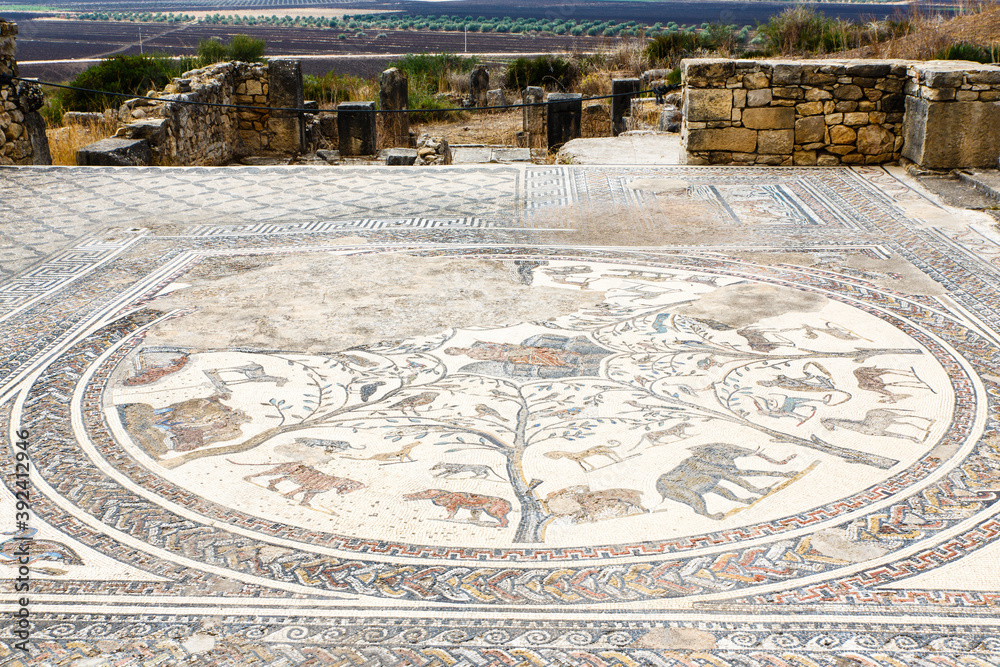 Obraz premium Vobalis, old Roman city in Morocco