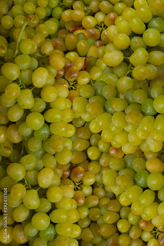 Fresh Green grape Fruits Perfect photography