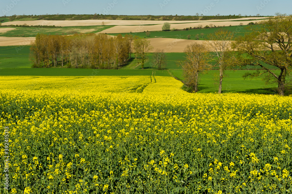 Fields, hamlets and farmland, Allier Auvergne France