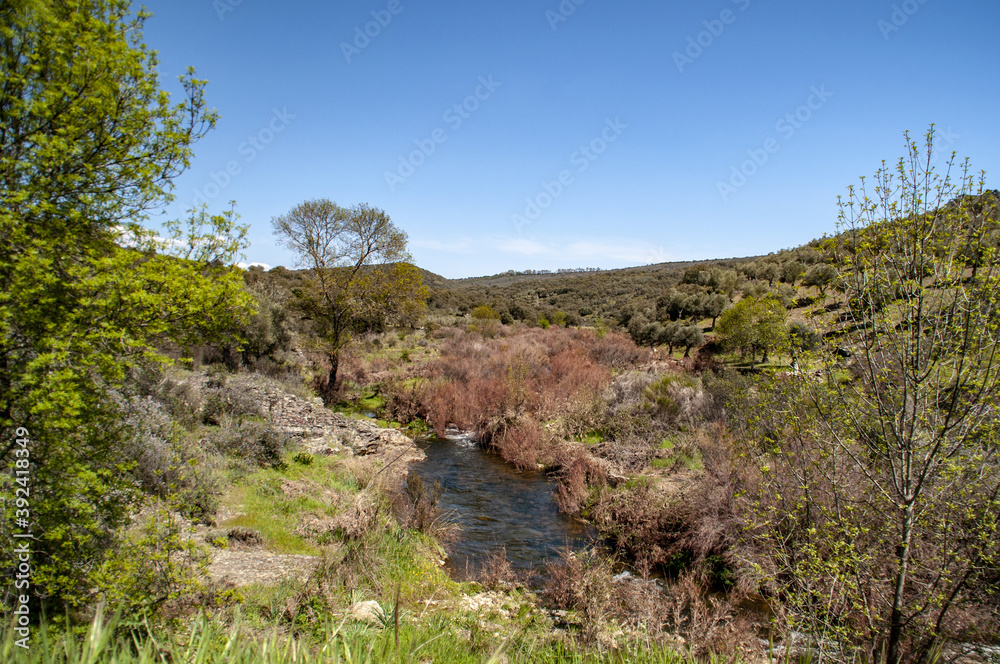 Parque Nacional de Cabañeros, Castilla la Mancha, España