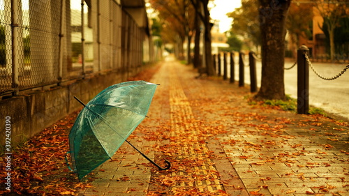 blue umbrella on pedestrian in autumn season