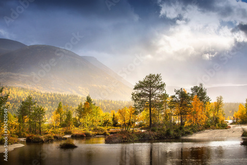 Autumn Landscape with Lake and Trees