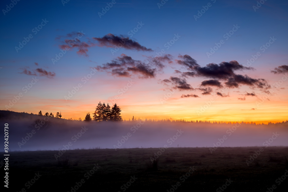 Foggy Forest After Sunset in Autumn