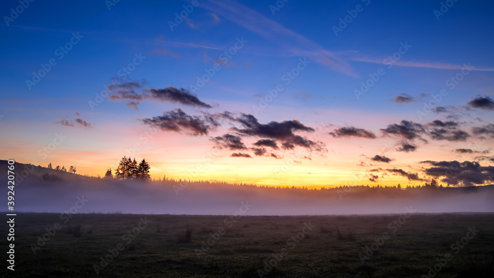 Foggy Forest After Sunset in Autumn