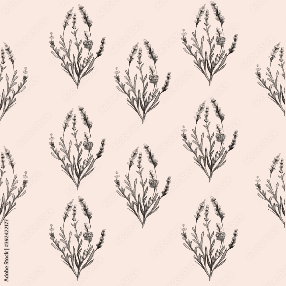 Lavender Flower Watercolor Drawing Illustration Lavender Flower Watercolor Drawing Illustration