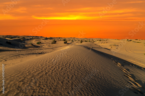 Panoramic Landscape Scenery desert safari tire prints in sand dune.