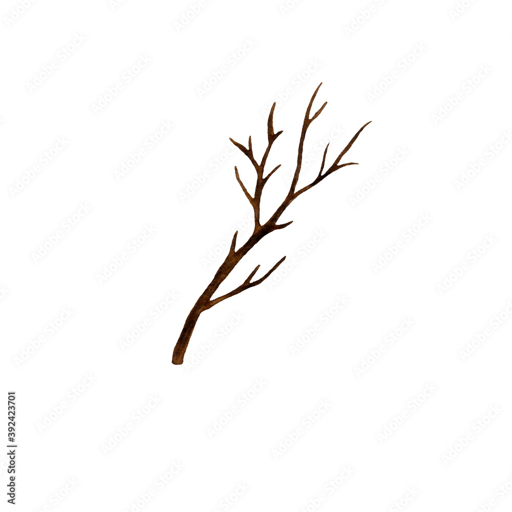 Fototapeta premium Watercolor tree branch.