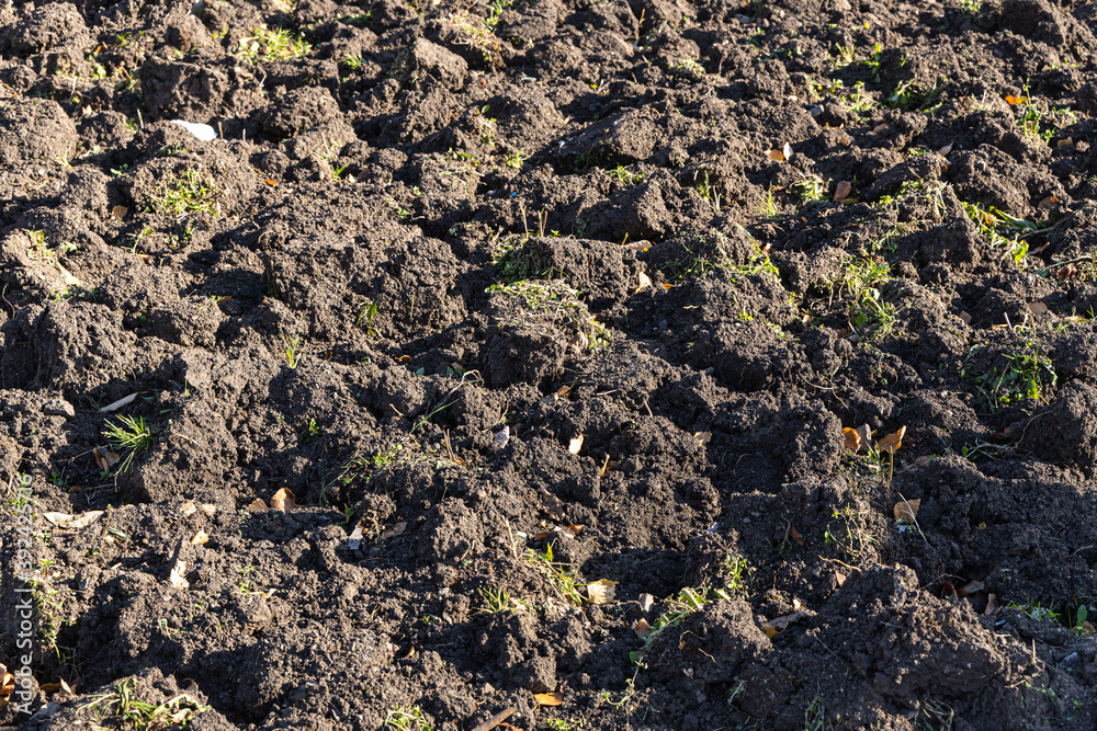 Gardening work soil digging of flower bed for planting flowers with a rope and posts wooden pegs in a park in autumn Gardening work soil digging of flower bed for planting flowers with a rope and posts wooden pegs in a park in autumn