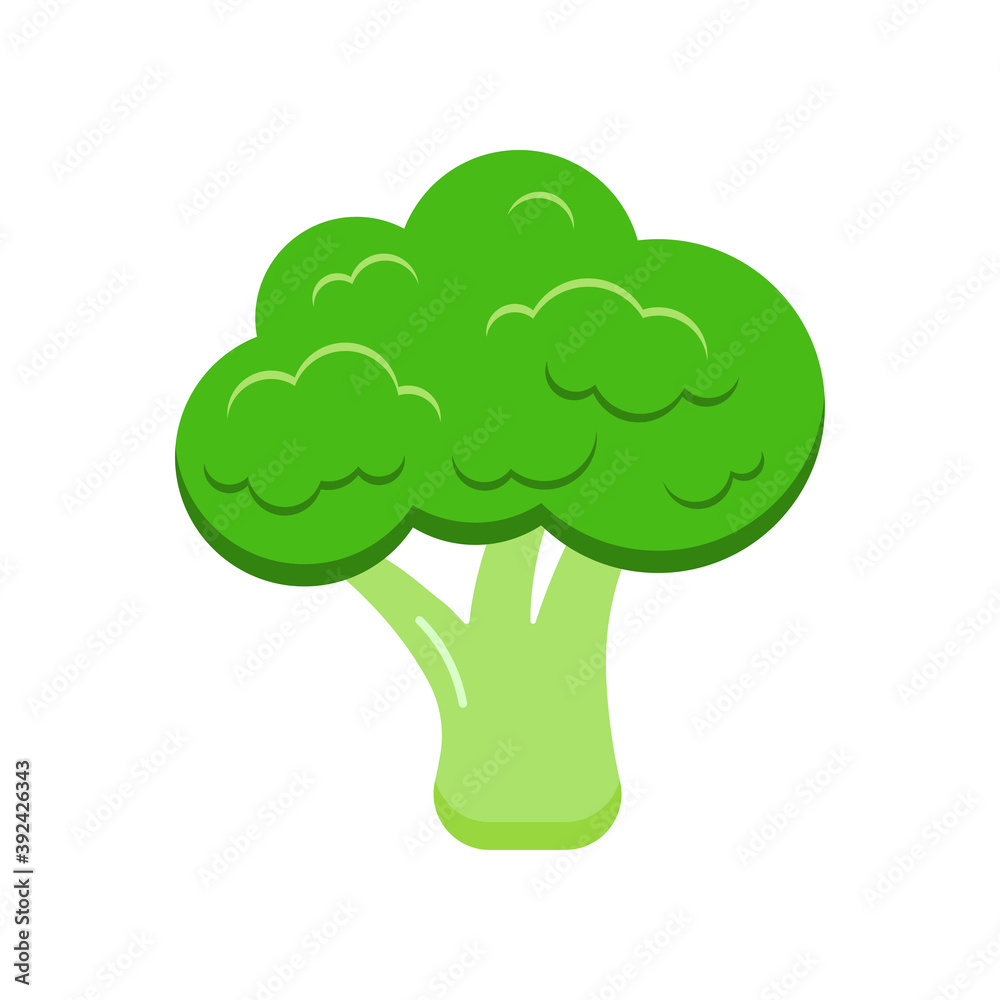 Broccoli fresh vegetable icon isolated on white background. Flat design cartoon style fresh gmo free green organic vegetable vector illustration. Vegan and diet healthy food symbol. Broccoli fresh vegetable icon isolated on white background. Flat design cartoon style fresh gmo free green organic vegetable vector illustration. Vegan and diet healthy food symbol.