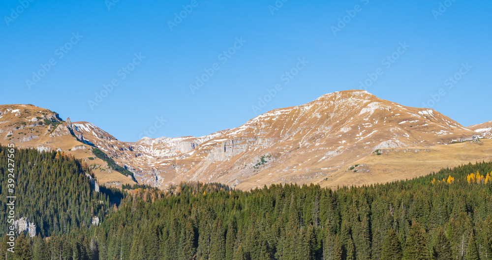 Romanian Mountain Landscape