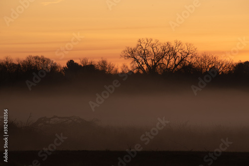 sunrise with fog