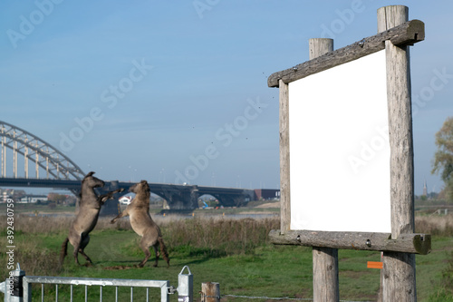 White advertisment sign front of nature