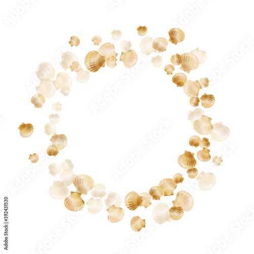 Gold chic seashells vector illustration, marine mollusks shells