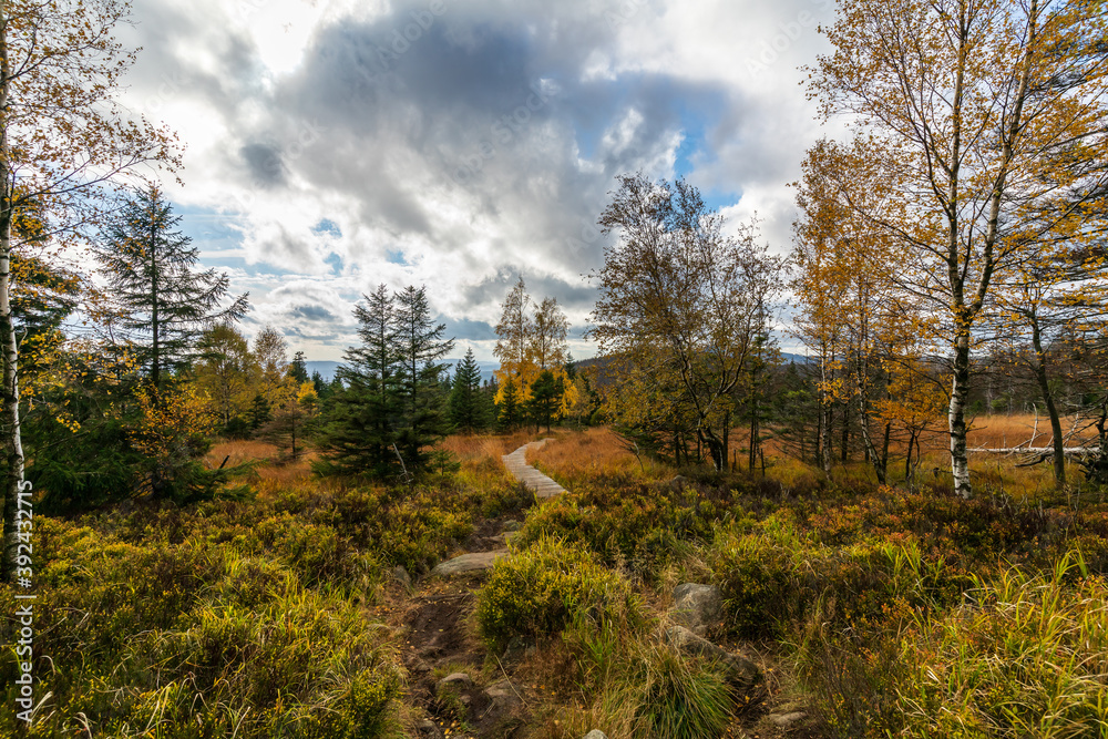 Autumn in the Harz mountains