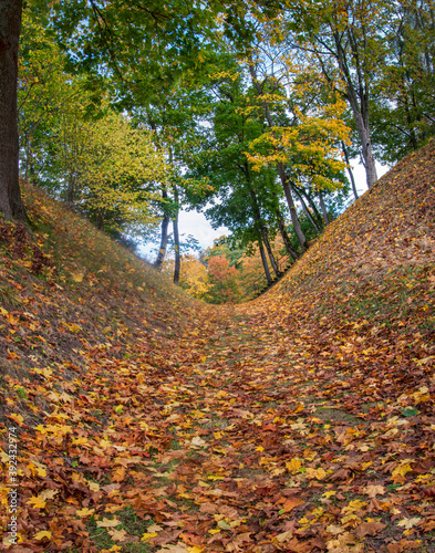 The Jurate footpath, Veliona mounds. photo