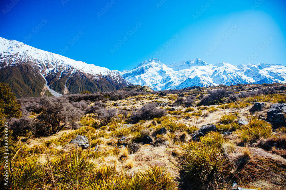 Hooker Valley Track at Mt Cook in New Zealand