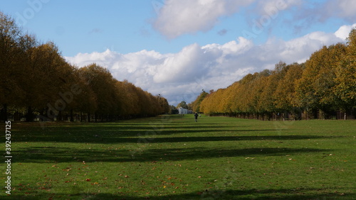 autumn in the park