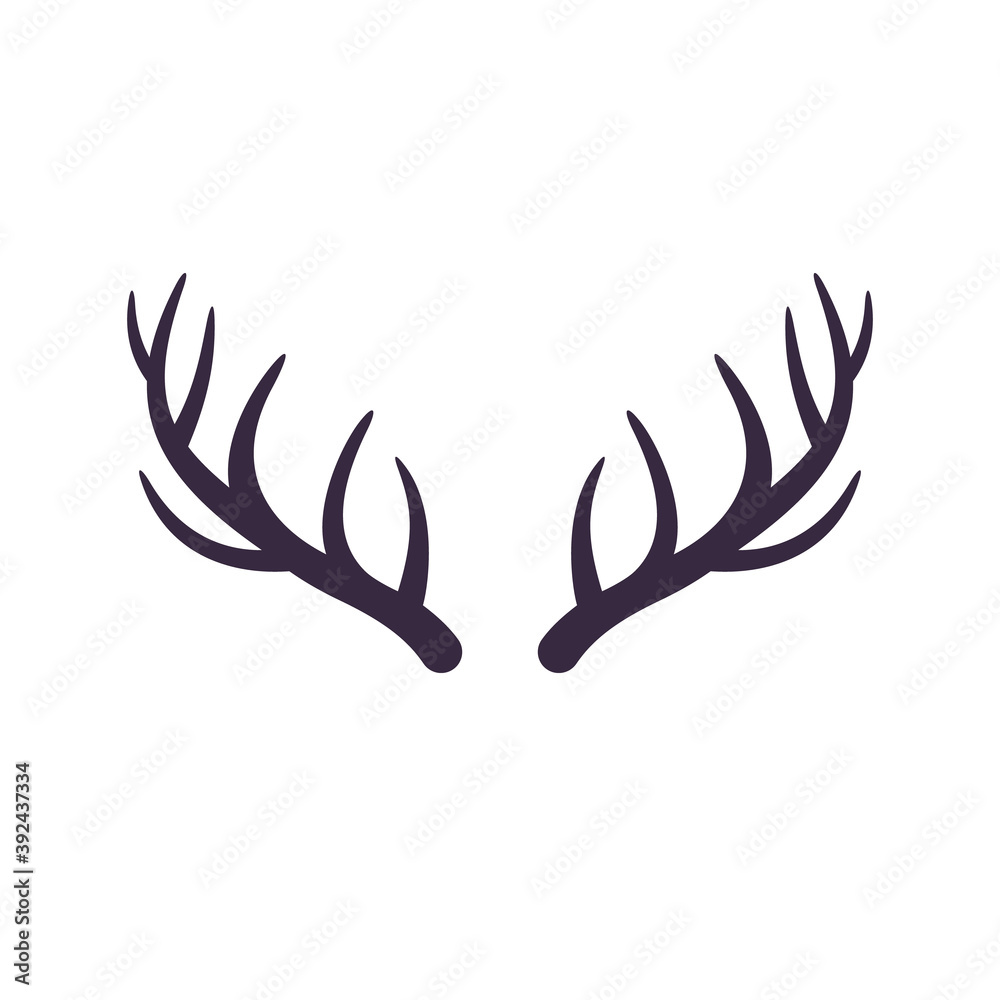 deer horns, antlers isolated on white deer horns, antlers isolated on white