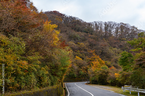 秋の箱根散策