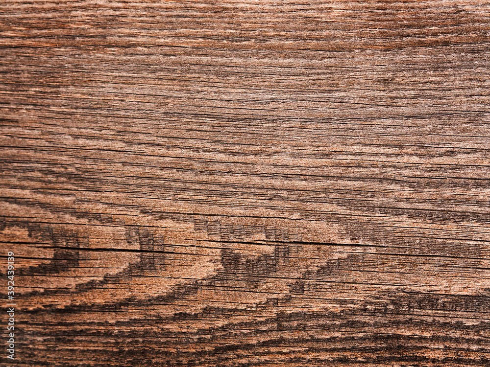 wood plank texture brown background with place for text