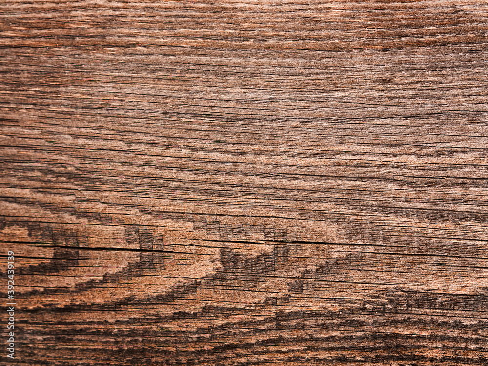 wood plank texture brown background with place for text wood plank texture brown background with place for text