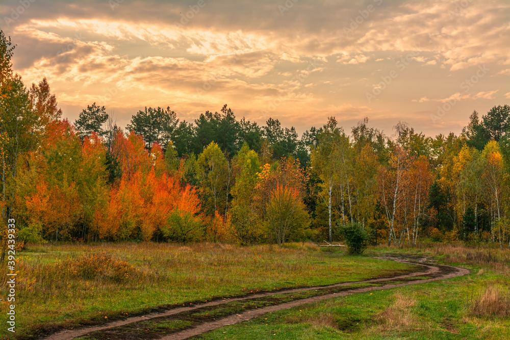 A scenic road that runs through meadows and along the forest. Countryside. Hiking. A scenic road that runs through meadows and along the forest. Countryside. Hiking.