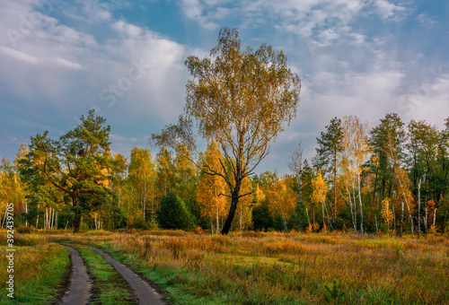 A scenic road that runs through meadows and along the forest. Countryside. Hiking.