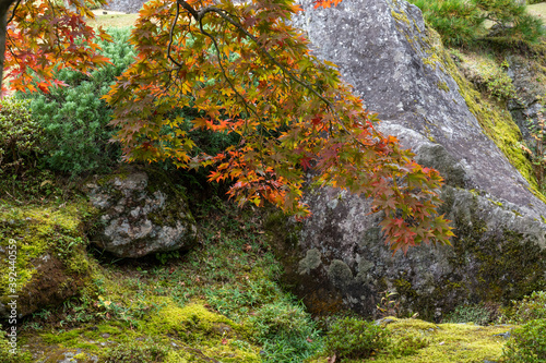 秋の箱根散策