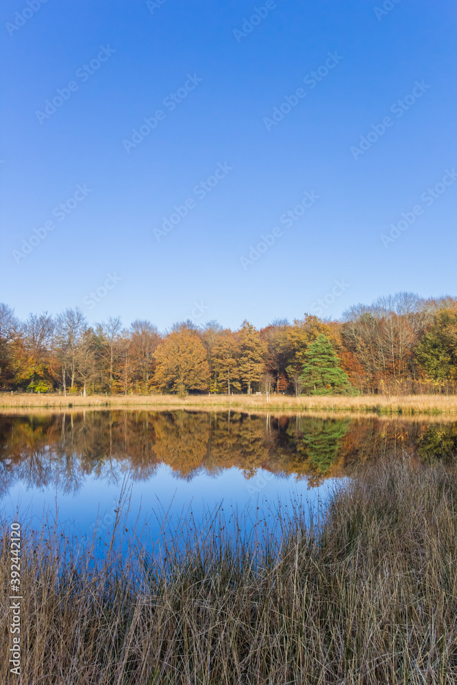 Little lake in the nature preserve of Borger, Netherlands