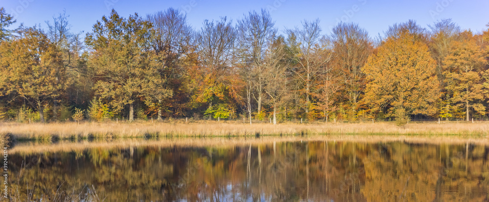 Panorama of colorful trees reflecting in the water in Borger, Netherlands