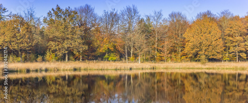 Panorama of colorful trees reflecting in the water in Borger, Netherlands