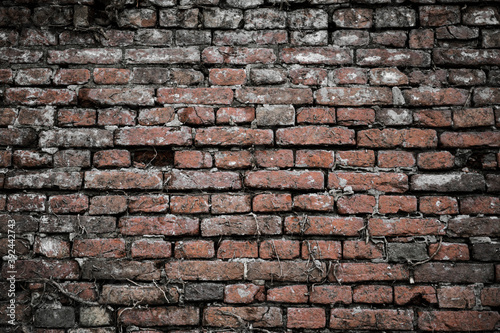 Old vintage brick wall background, abstract texture for urban rustic design